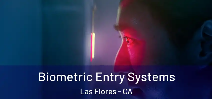 Biometric Entry Systems Las Flores - CA