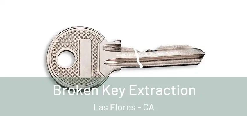 Broken Key Extraction Las Flores - CA