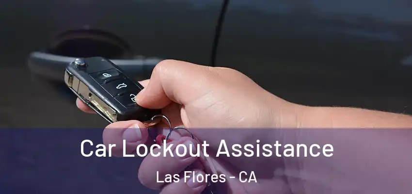 Car Lockout Assistance Las Flores - CA