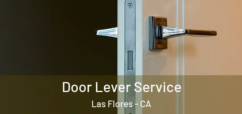 Door Lever Service Las Flores - CA