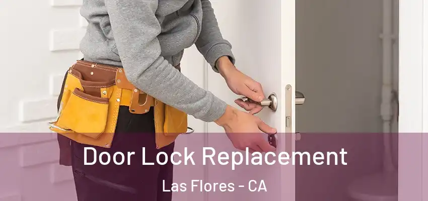 Door Lock Replacement Las Flores - CA