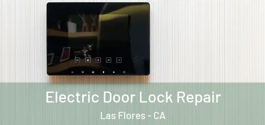 Electric Door Lock Repair Las Flores - CA