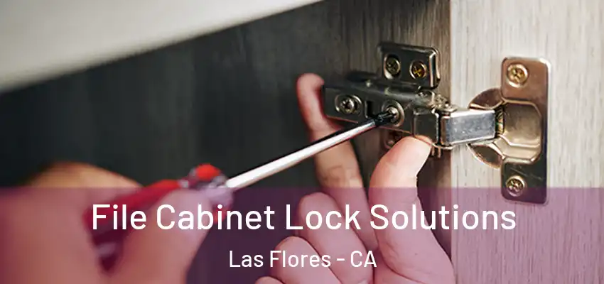 File Cabinet Lock Solutions Las Flores - CA