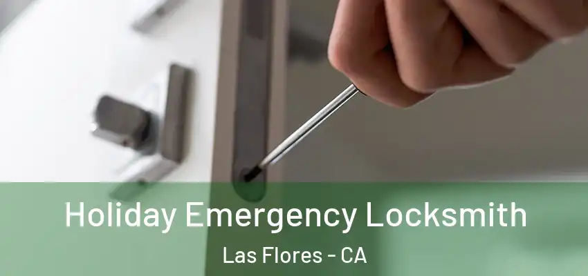 Holiday Emergency Locksmith Las Flores - CA