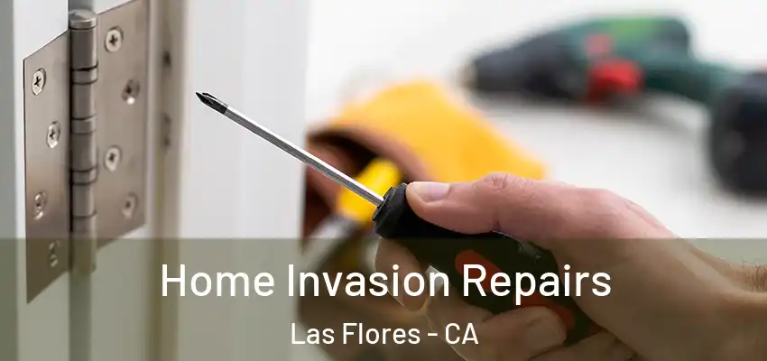 Home Invasion Repairs Las Flores - CA