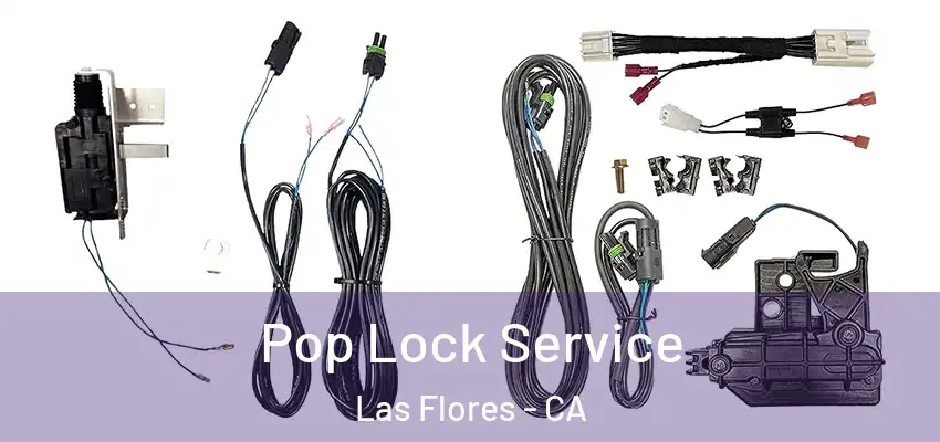 Pop Lock Service Las Flores - CA