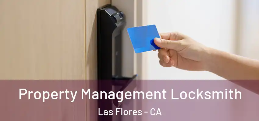  Property Management Locksmith Las Flores - CA