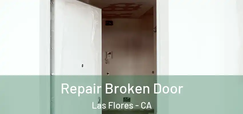 Repair Broken Door Las Flores - CA