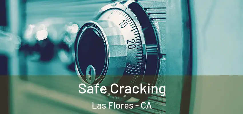  Safe Cracking Las Flores - CA